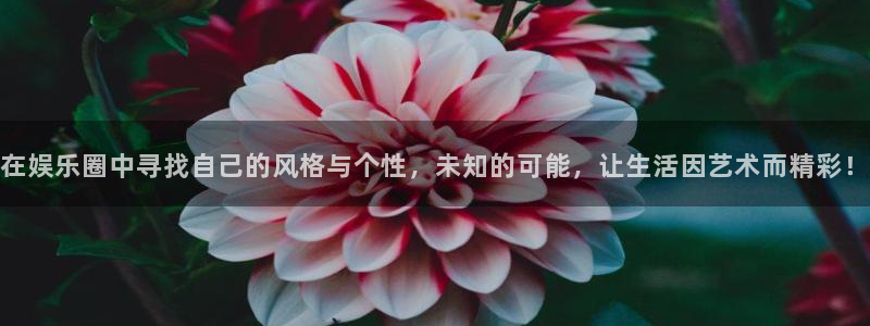 奇亿娱乐注册：在娱乐圈中寻找自己的风格与个性，未知的可能，让生活因艺术而精彩！