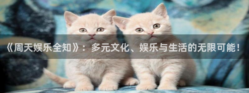 奇亿娱乐登录：《周天娱乐全知》：多元文化、娱乐与生活的无限可能！