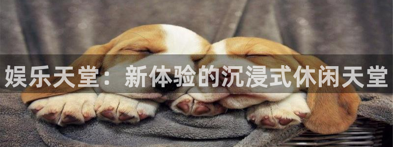 奇亿娱乐平台：娱乐天堂：新体验的沉浸式休闲天堂